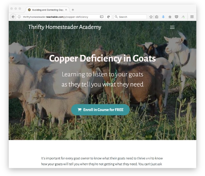 thrifty homesteader homepage