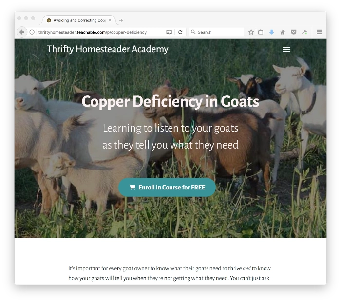 thrifty homesteader homepage