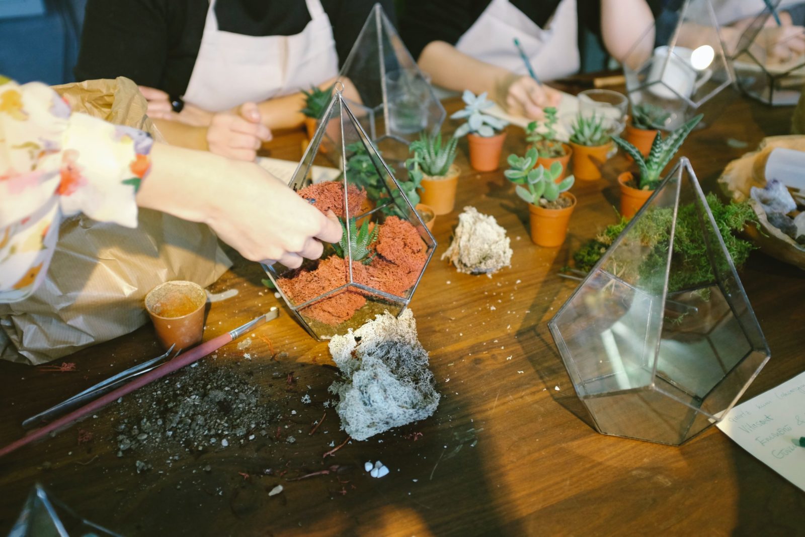 making terrariums