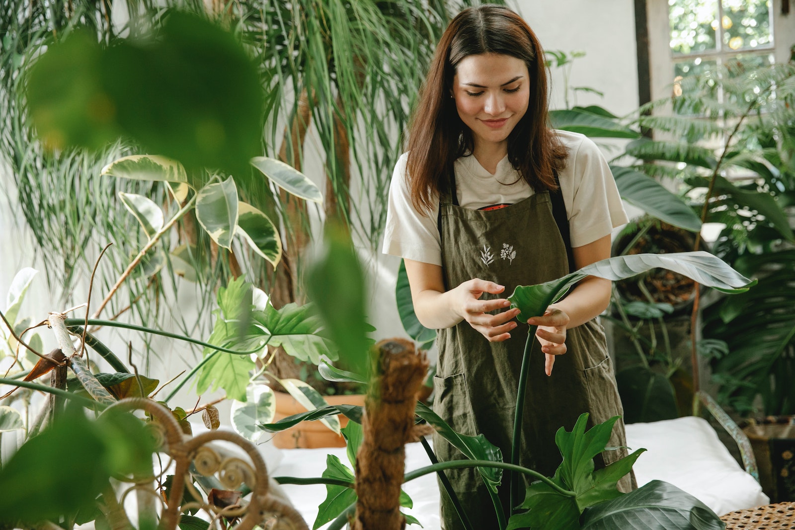 creator in garden