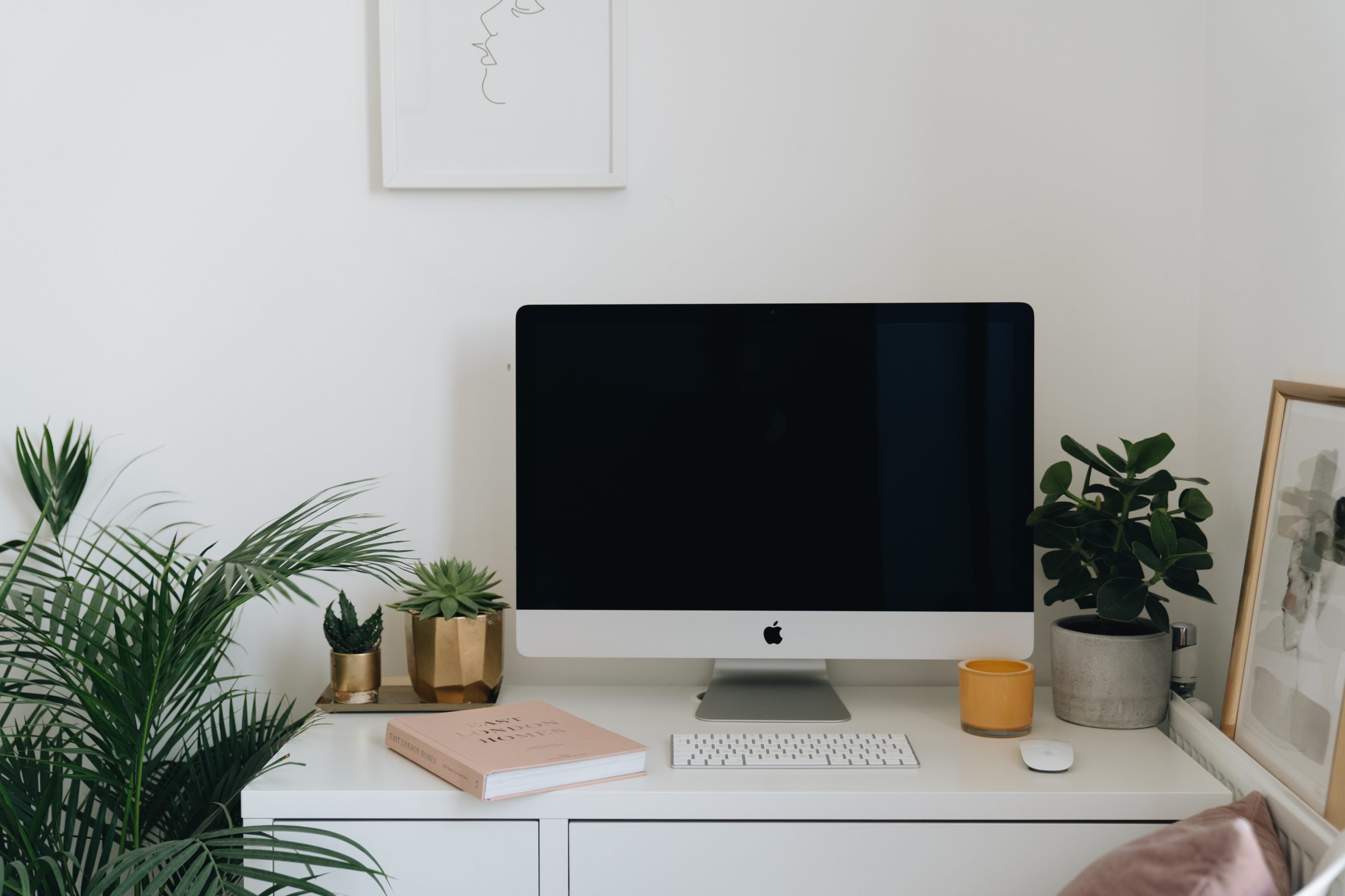 desk with computer and plants