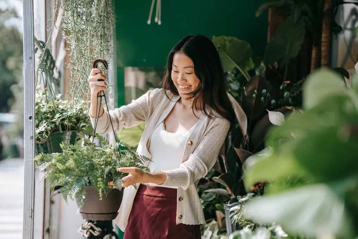 a plant shop owner hanging a plant